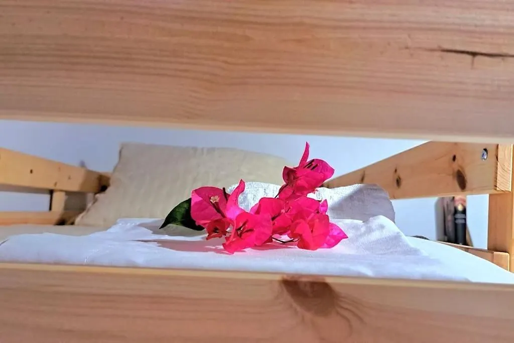 Alojamiento Mise Conil De La Frontera Holiday home